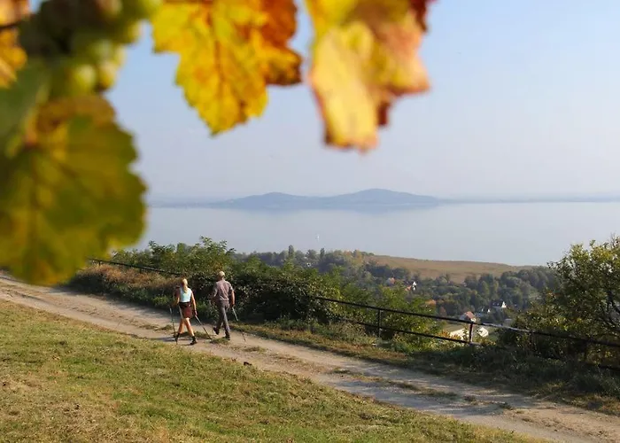 Alpha Dom wakacyjny *